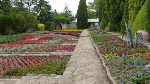 Rośliny w ogrodzie botanicznym — Wideo stockowe