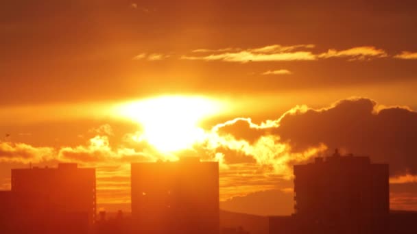 Zonsondergang boven de stad. Vliegende vogels — Stockvideo