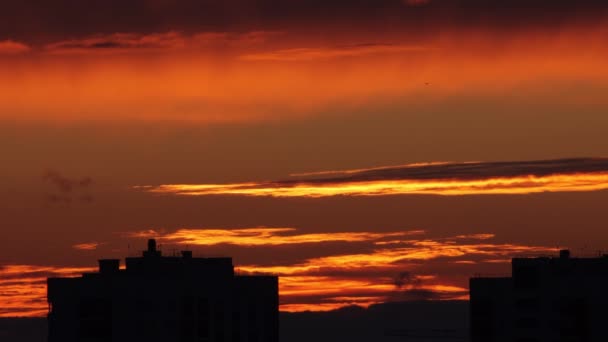 Sonnenuntergang über der Stadt. Fliegende Vögel — Stockvideo