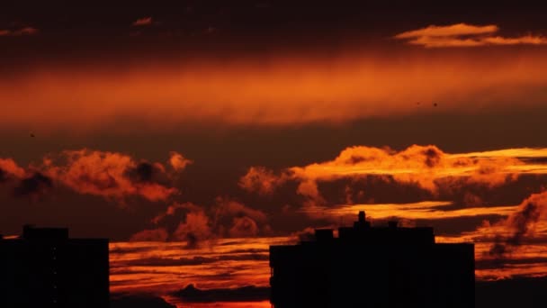 Sonnenuntergang über der Stadt. Fliegende Vögel — Stockvideo