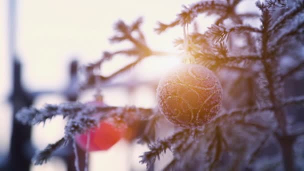 Gefrorener Weihnachtsbaum mit Dekoration — Stockvideo