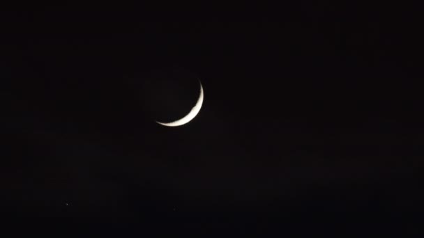 Timelapse of moon in night sky — Stock Video