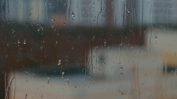 Gotas de lluvia en el vidrio en primer plano, timelapse — Vídeos de Stock