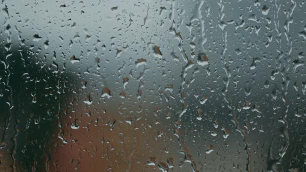 Regendruppels op glas in close-up — Stockvideo