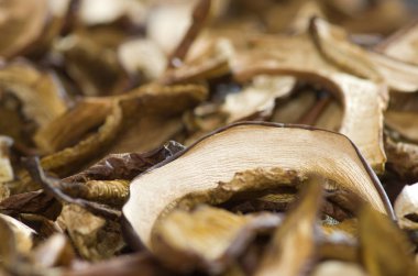 Kurutulmuş yenilebilir mantar.