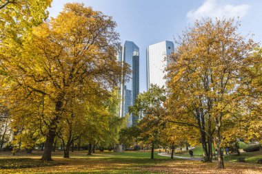 Frankfurt şehir parkında sonbahar