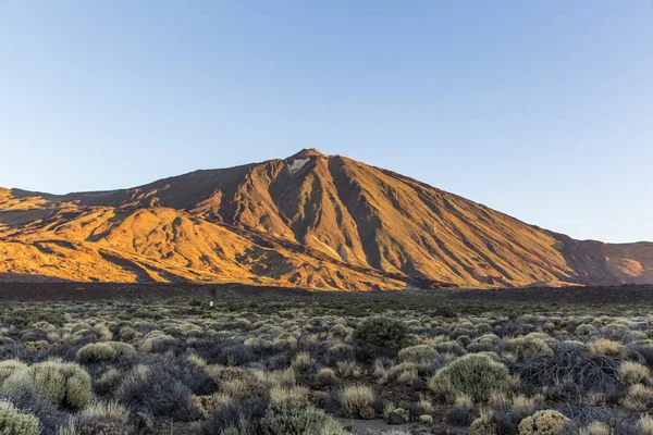 Ilha Canária, Tenerife. Parque Nacional del Teide — Fotografia de Stock