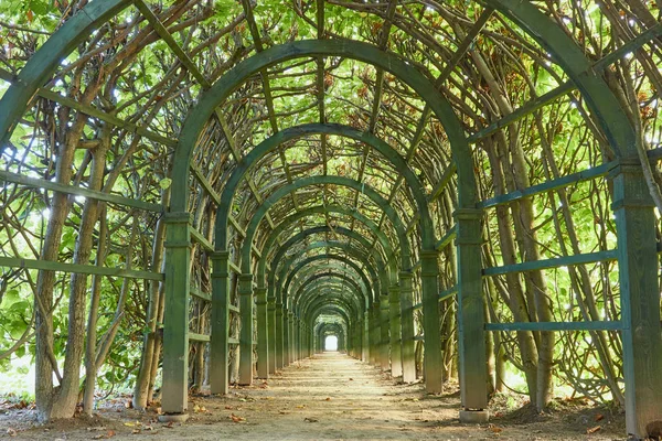 Arkhangelskoye Emlak, Rusya Federasyonu