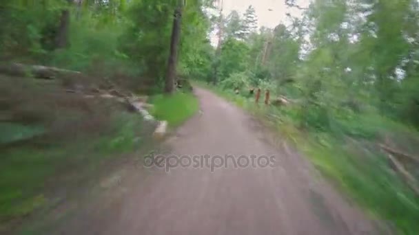 Vélo POV dans le parc après une violente tempête — Video