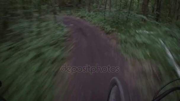Passeio de bicicleta ao longo de um caminho ao entardecer — Vídeo de Stock