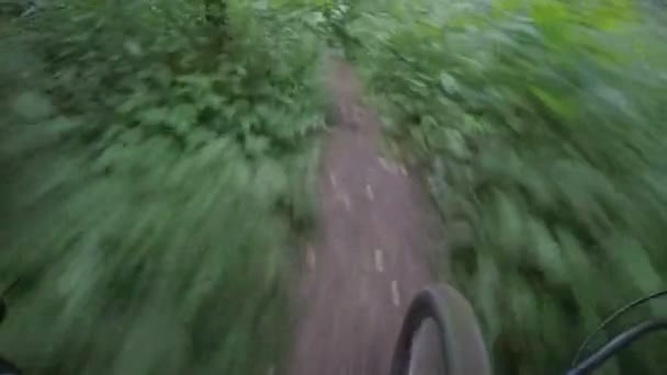 Cykeltur längs en smal stig i skogen — Stockvideo