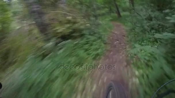 Passeio de bicicleta ao longo de um caminho lamacento na floresta — Vídeo de Stock