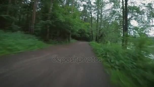 Passeio de bicicleta pelo parque — Vídeo de Stock