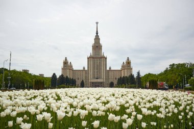 Moscow State University, Moscow clipart