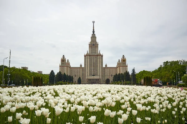 Universidad Estatal de Moscú, Moscú — Foto de Stock