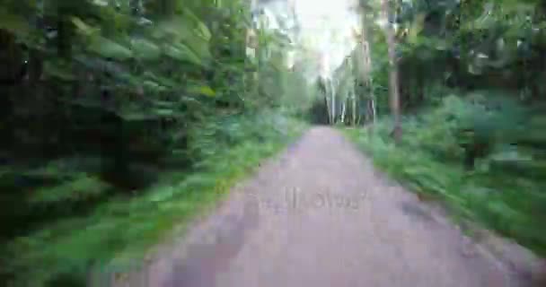 Hyper Laps Footage Cycling Forest Summer Day — Stock Video