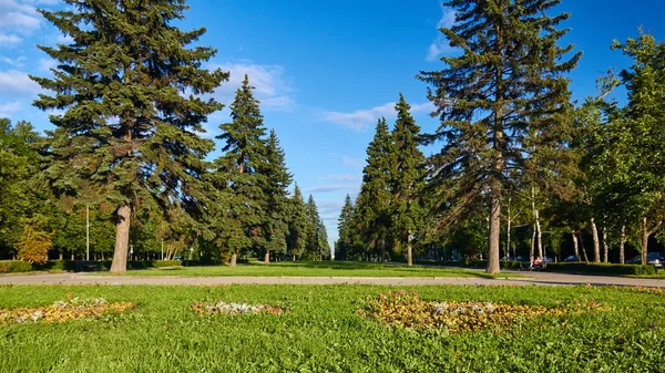 Üniversitenin önünde park