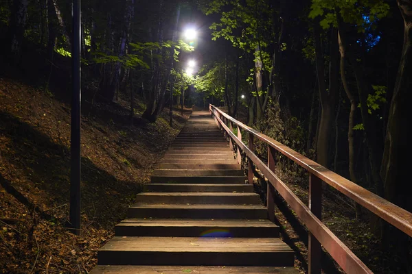 Gece ormanda Ahşap merdiven