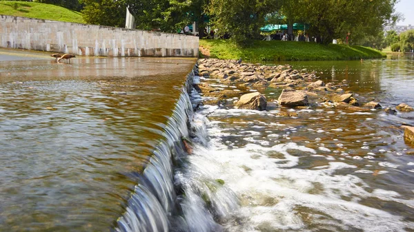 Kent parkta küçük bir şelale