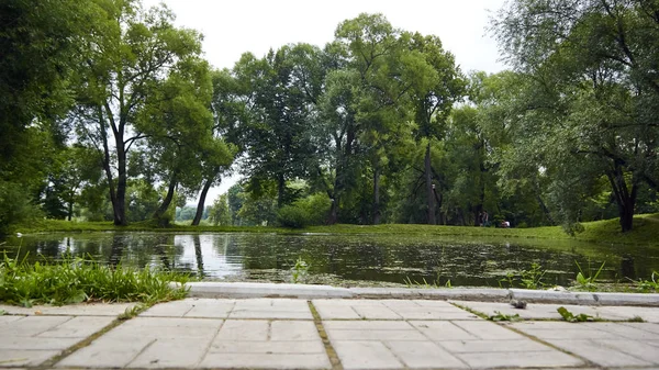 Pond in the city Park — Stock Photo, Image