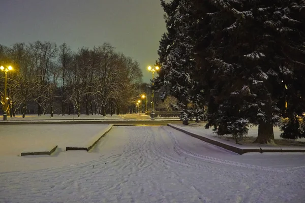 Kış geceleri serçe tepelerde Park