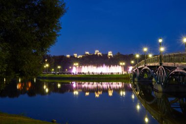 Gece Tsaritsyno Parkı 'nda batı kemeri köprüsü. Müzikal çeşme ve arkadaki büyük saray.