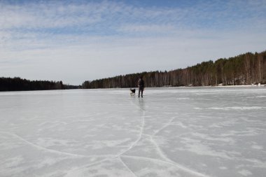 Donmuş göl üzerinde Alsatian köpek