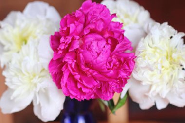 Kırmızı ve beyaz peonies