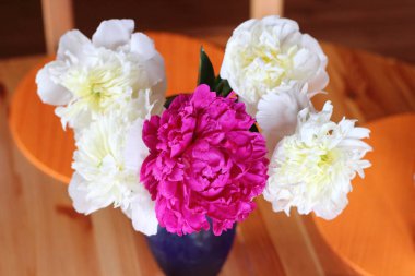 Kırmızı ve beyaz peonies