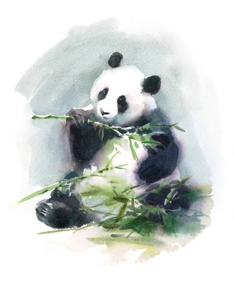 Panda aquarela comendo bambu ilustração animal mão desenhada vida selvagem — Fotografia de Stock