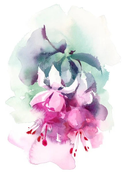 Aquarela Fuchsia Verão Flores pintado à mão Floral Header Banner Rosa Ilustração — Fotografia de Stock