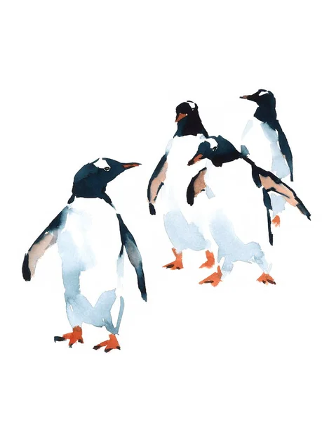 Pinguini Acquerello Uccelli Antartico Illustrazione isolata su sfondo bianco — Foto Stock