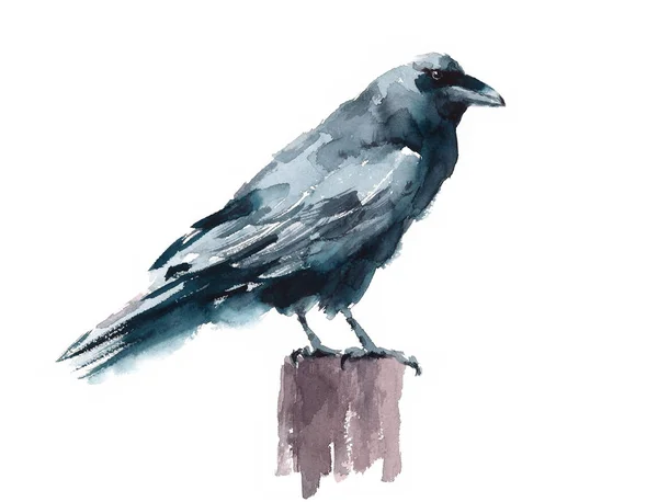 Zwarte kraai aquarel Raven vogel permanent op de stomp Hand geschilderd illustratie geïsoleerd op witte achtergrond — Stockfoto