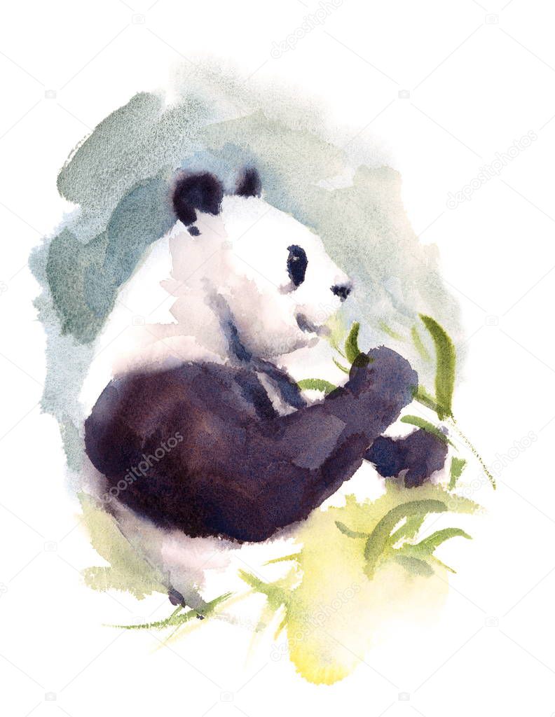 Watercolor Panda Eating Bamboo Animal Illustration Hand Drawn Wildlife