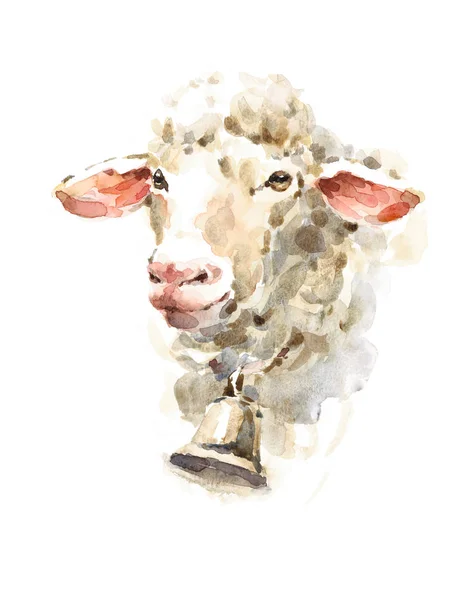 戴着一个铃铛农场动物肖像手绘插图的水彩羊 — 图库照片