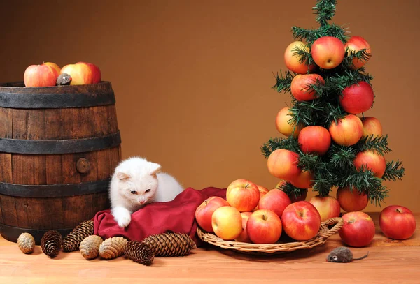Белая Кошка Играет Новогодними Украшениями Столе — стоковое фото