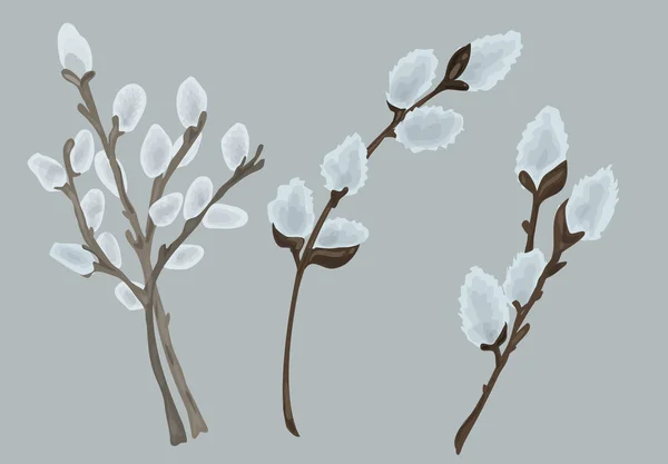 Tüylü söğüt ağacının üç dalından oluşan Paskalya buketi — Stok Vektör