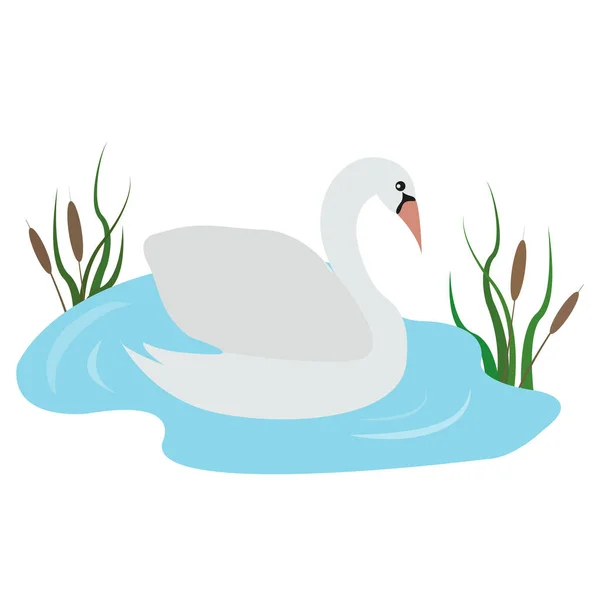 Ilustração vetorial de um cisne de desenho animado estilizado . — Vetor de Stock