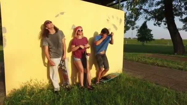 Скейтбордисты веселятся в парке — стоковое видео