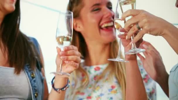 Vrouwen houden van bril met champagne — Stockvideo