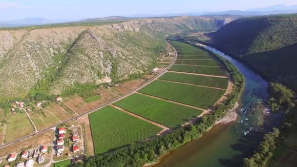 Πράσινο δασωμένο φαράγγι στη Βοσνία — Αρχείο Βίντεο