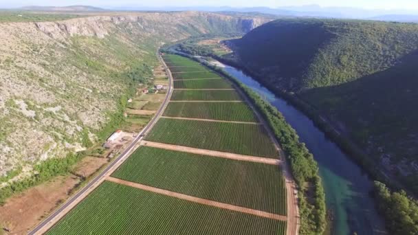 Φαράγγι του ποταμού Βοσνιακά — Αρχείο Βίντεο