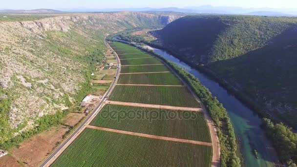 Cañón del río Bosnio — Vídeo de stock