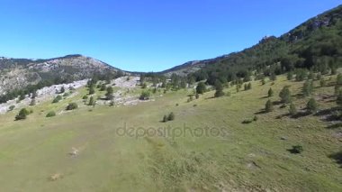  Arı kovanlarını Dinara Dağı'nda 