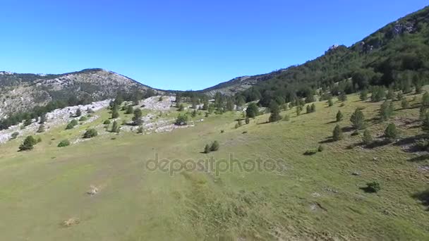 Alveari sulle montagne di Dinara — Video Stock