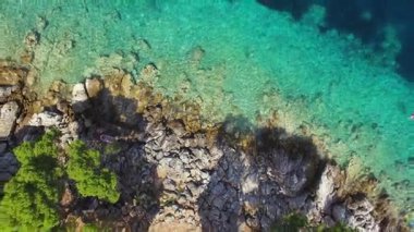 derin deniz ile tezat sığ