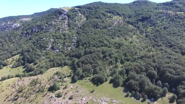 Лес горы Динара с травой равнины — стоковое видео