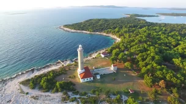 Lighthouse on forested shore — Stock Video