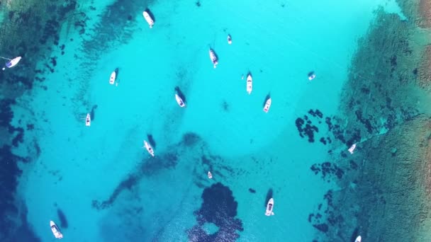 Lodě kotvící v čisté vodě Dugi otok — Stock video