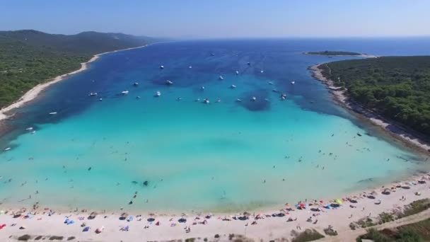 Volare su una laguna su un'isola soleggiata — Video Stock